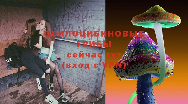 PSILOCYBIN Арсеньев